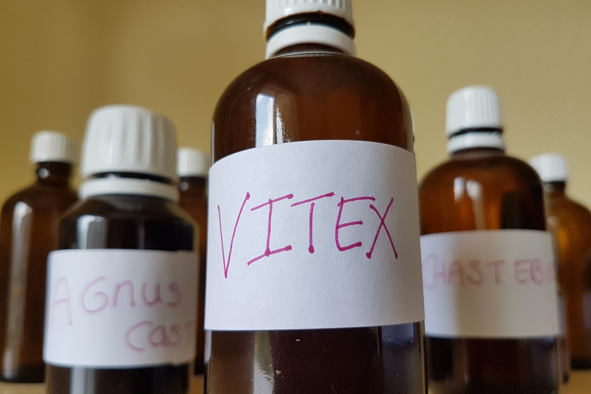 How to use Vitex