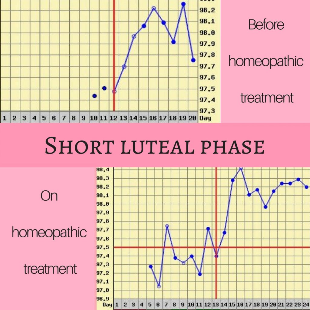 Fertility Charts Pre And Post Homeopathy The Proof Is In The Pudding Ingefleur Fertility 2213